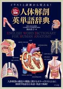 カラー図解 人体解剖英単語辞典
