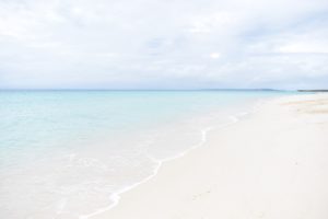 東京事務所移転のお知らせ